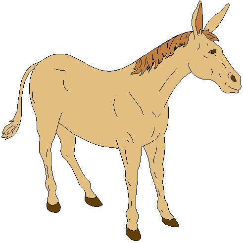 image006.jpg - 1915 Bytes